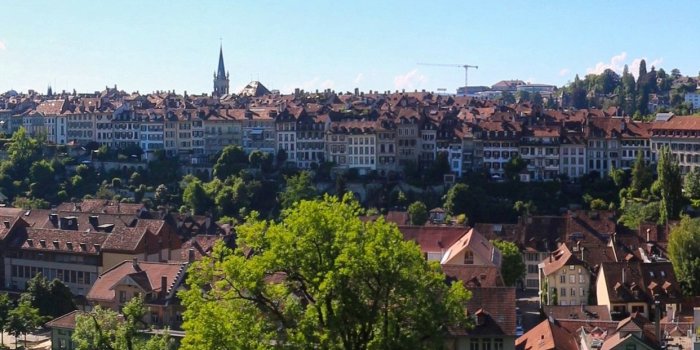 1242x2688 Switzerland, Bern, Aare river, city, trees, meadow 1242x2688