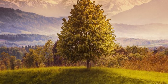 1080x1920 Switzerland Mountains iPhone Wallpaper HD