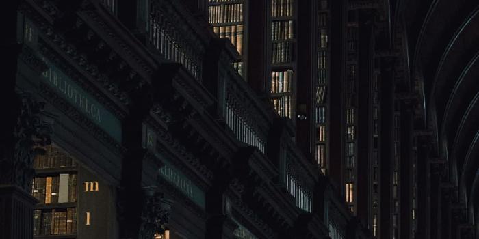 910x1365 HD wallpaper: gray concrete building, light, dark, architecture