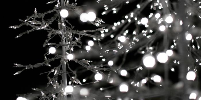 2560x1600 Best Of Desktop Wallpaper Aesthetic Christmas Wallpaper Tumblr