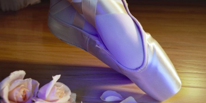 1280x1024 Free download Ballet Shoes Wallpapers Desktop Wallpapers