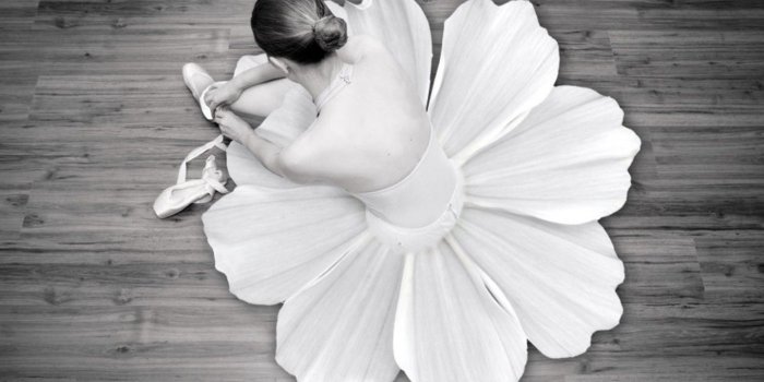 1440x900 flowers ballet monochrome dancers ballet shoes 1440x900 wallpaper