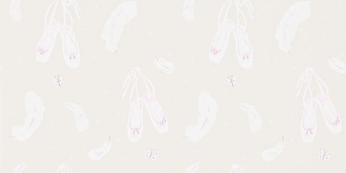 900x1000 Ballet Shoes Wallpapers