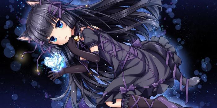 1332x850 Photo Wallpaper Girl, Brunette, Neko - Cute Anime Girl With Black