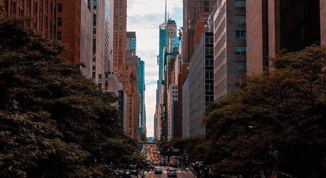640x1385 Chrysler Building New York United States iPhone X Wallpapers | New