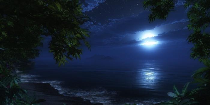 1920x1080 Beach Night Trees HD, nature, trees, night, beach, HD wallpaper