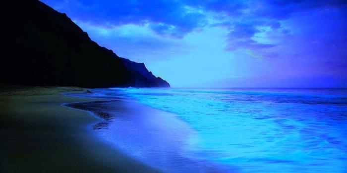 1440x900 beach blue sky beach at night – Nature Beaches HD Desktop Wallpaper