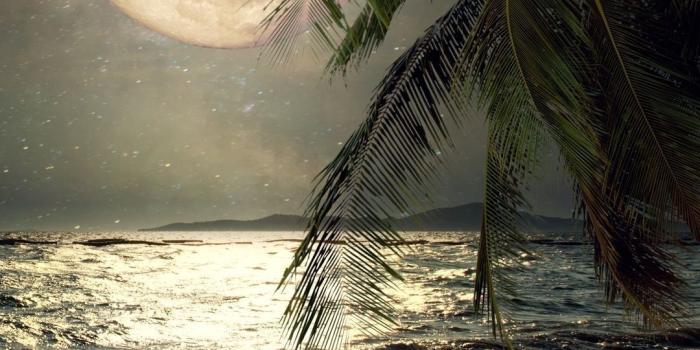 1080x1920 Sultan Mohiddin on sk in 2020 | Hd nature wallpapers