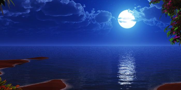 1920x1440 Beautiful Romantic Image Night Beach Palm Tree Full Moon Clouds