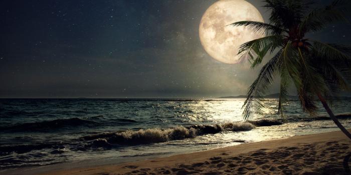 1920x1080 Download 1920x1080 wallpaper beach, sand, night's moon, palm tree