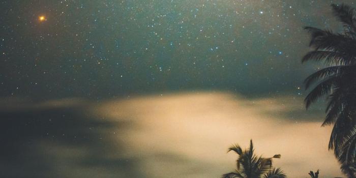 1000x1422 Beach Night Pictures | Download Free Images on Unsplash