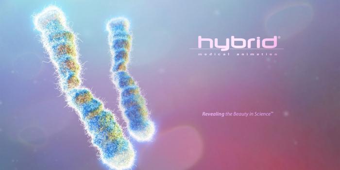 1920x1200 Medical Desktop Backgrounds on WallpaperGet.com