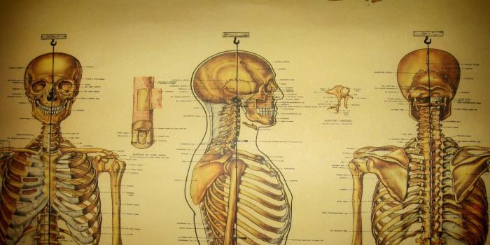 1680x1050 Best 59+ Medical Wallpapers for Desktop on HipWallpaper