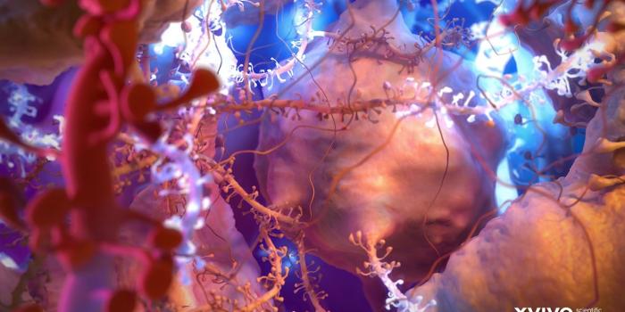 1366x768 Beautiful Free Science Wallpaper | Medical Wallpaper | XVIVO