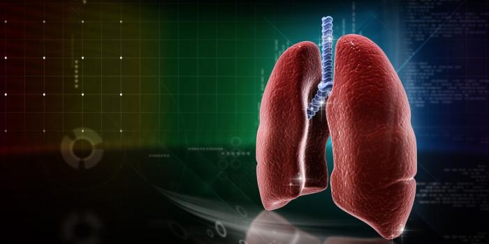 1332x850 Wallpaper medicine, lungs, anatomy images for desktop, section