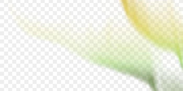 900x900 Desktop Wallpaper Bud Plant stem Medicine Close-up - Computer png