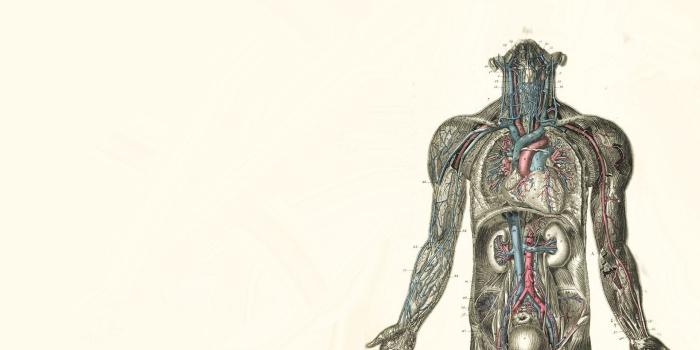 2560x1600 Medical Backgrounds for PC - Full HD Top Pics