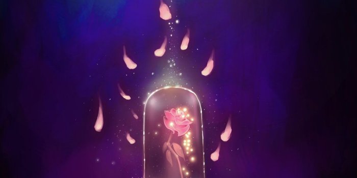 1024x1115 beauty and the beast rose in glass - Google Search (With images