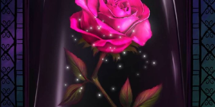 905x1280 Download Beauty Wallpaper by ninnie1122 - 51 - Free on ZEDGE™ now