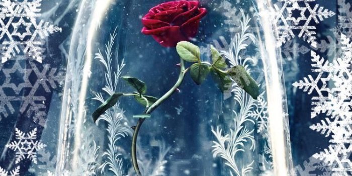 750x1334 Angelina Petrakis on Wallpapers | Iphone background disney