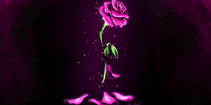 1600x900 Best 58+ Enchanted Rose Background on HipWallpaper | Vintage Rose