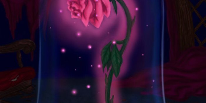741x1077 Till The Last Petal Falls- Enchanted Rose from Beauty and the