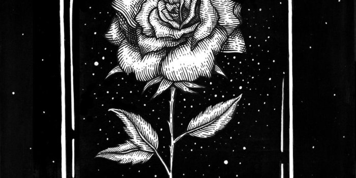 1227x1920 Beauty and the Beast 2018 Wallpapers (77+ images)