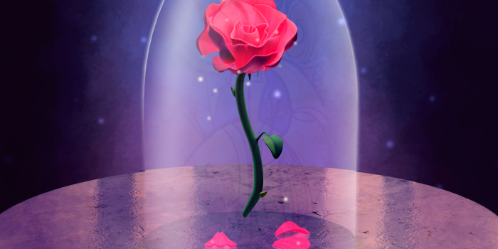 1920x1440 Pink Rose from 