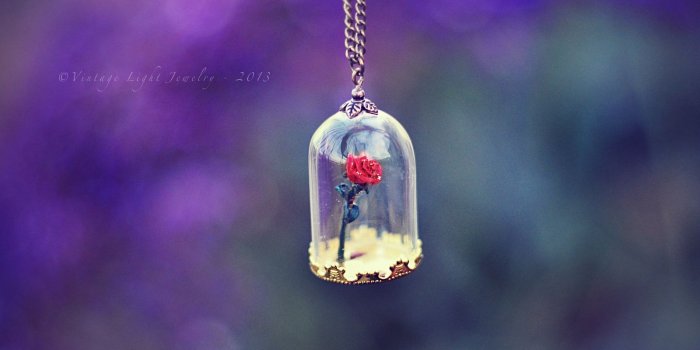 1600x900 Free download Best 58 Enchanted Rose Background on HipWallpaper