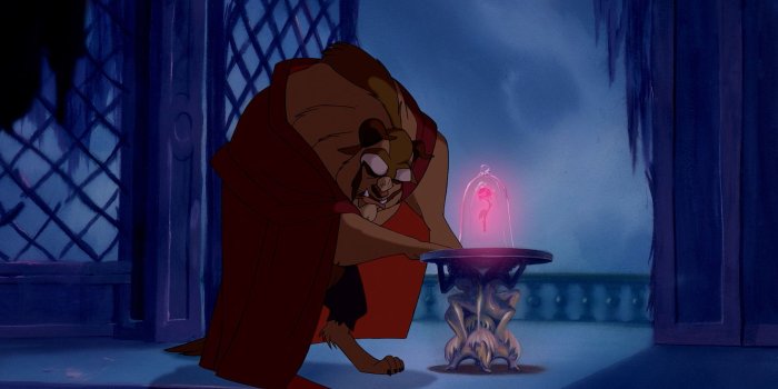 1920x1080 disney company movies beauty and the beast pink rose 1920x1080