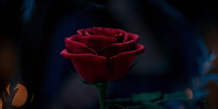 1600x900 First trailer for Disney's 'Beauty and the Beast' debuts on 'Good