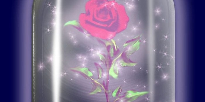 744x1074 Beauty and the Beast