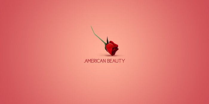 1920x1200 Best 57+ American Beauty Wallpaper on HipWallpaper | Beauty and