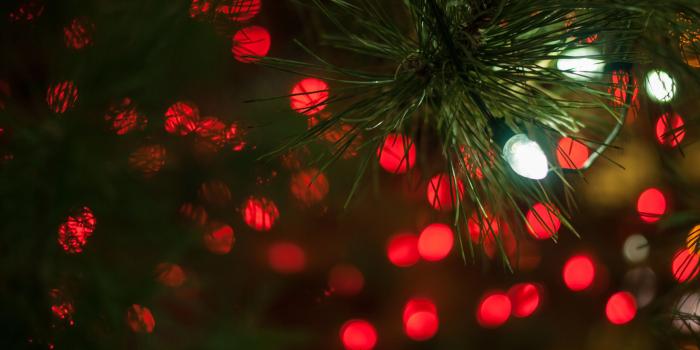 2390x1600 Christmas Tree Branch with Lights