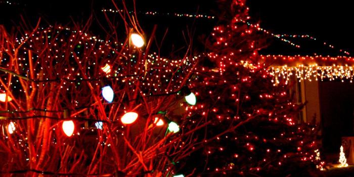 1280x993 Free download Christmas Lights With Tree Backgrounds For