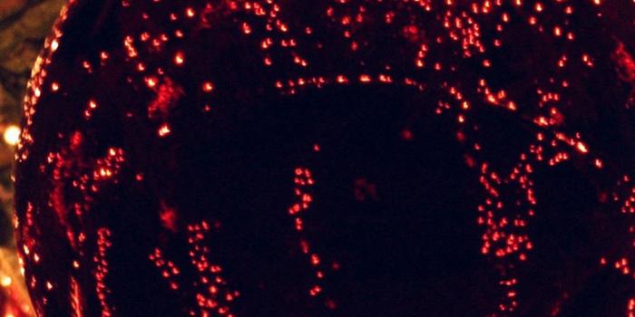 1080x1920 Christmas Lights iPhone Wallpapers