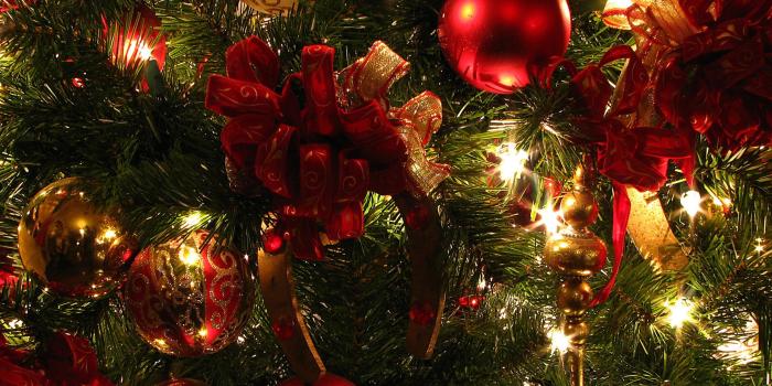 2560x1600 Pretty Christmas Lights Wallpaper 24368 2560x1600px