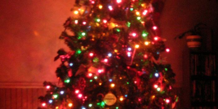 1197x1600 Animated Christmas Tree, Beautiful Christmas Tree Lights, #10503