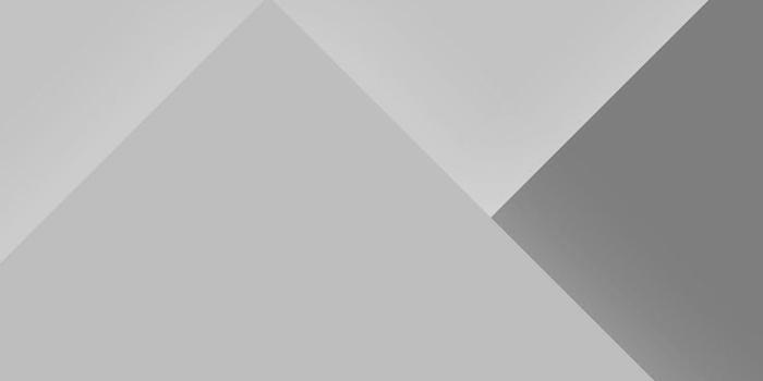 736x1593 Grey And White Wallpaper Iphone X - 736x1593 Wallpaper - Ecopetit.cat