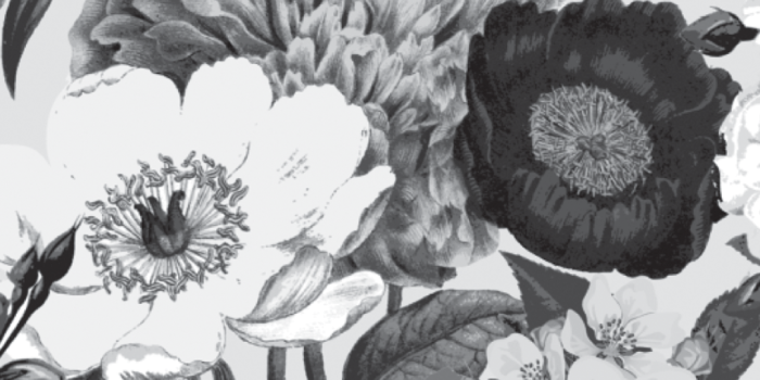 1080x1920 CandyShell Inked Wallpapers for iPhone 6 Plus | Match Your Case