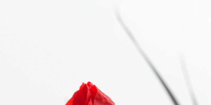 1125x2436 25 Free HD White iPhone Wallpapers for iPhone 6/6S/7/8/X/XS/XR