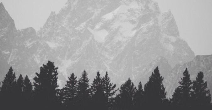 675x1200 Black And White Iphone X Wallpaper