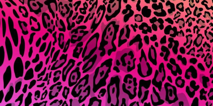 1353x2410 Rainbow Cheetah Wallpaper (63+ images)