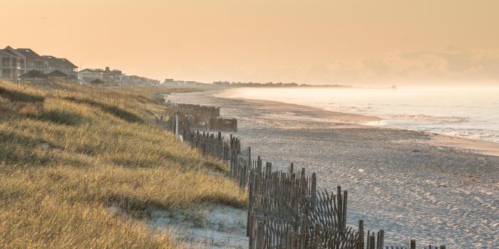 5120x2880 carolina 4K wallpapers for your desktop or mobile screen free and