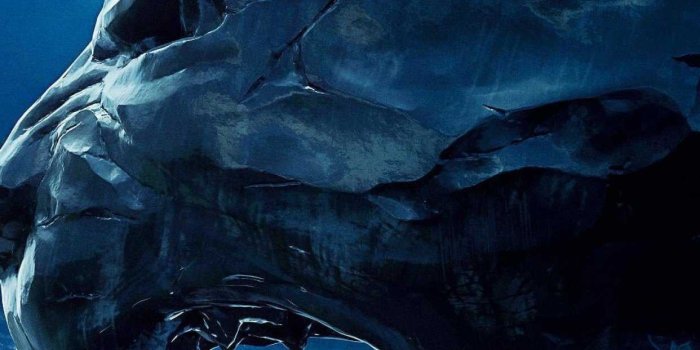 1242x2688 Black Panther 4K Movie Poster HD Wallpaper (1242x2688)