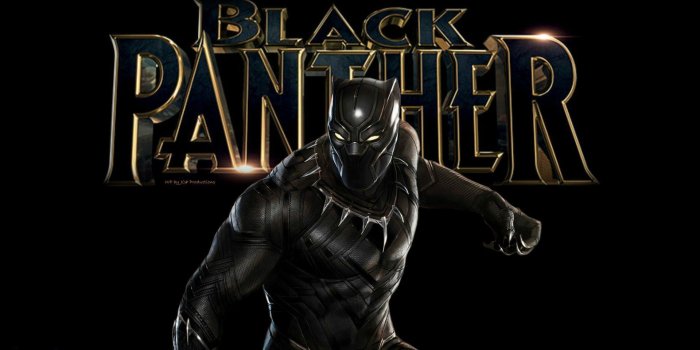 1920x1080 Black Panther Wallpapers - Top Free Black Panther Backgrounds