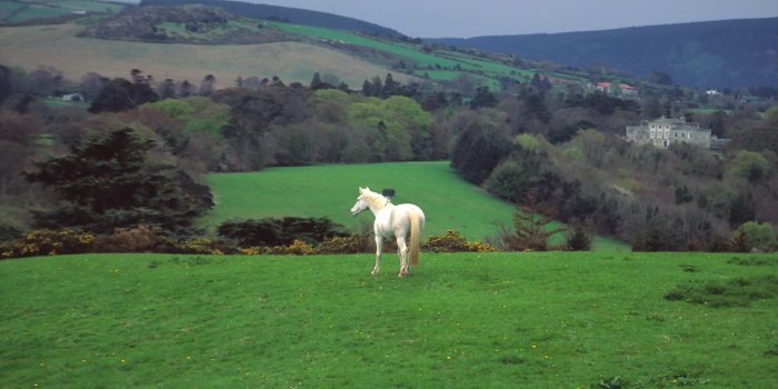 1920x1200 Irish Countryside Wallpapers
