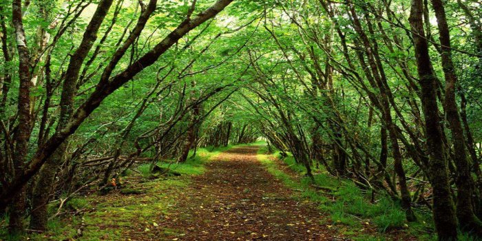 1366x768 Irish Landscape Wallpapers - Top Free Irish Landscape Backgrounds