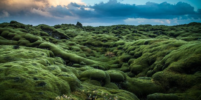 4898x3266 Irish Landscape Wallpapers - Top Free Irish Landscape Backgrounds