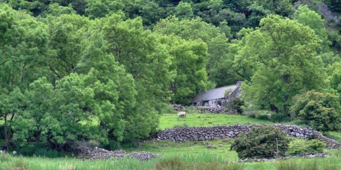 1024x768 Irish Countryside Wallpapers